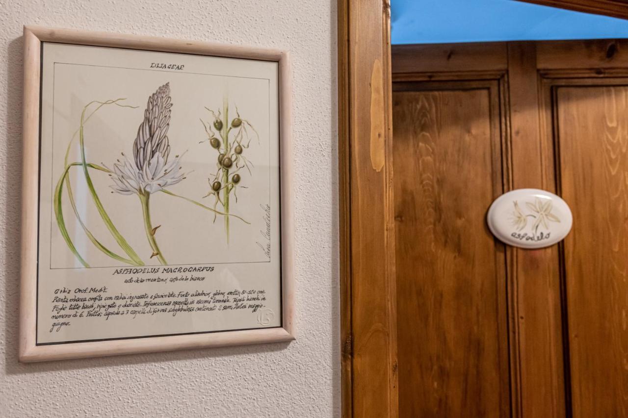 La Locanda Di Adele - Il Giardinetto B&B Scarperia Dış mekan fotoğraf